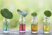 Tầm Quan Trọng Của Chiết Xuất Trong Ngành Dược & Thực Phẩm Chức Năng Tầm Quan Trọng Của Chiết Xuất Trong Ngành Dược & Thực Phẩm Chức Năng