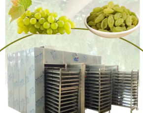 Quy trình sấy nho bằng máy sấy khay gió nóng (tủ sấy)