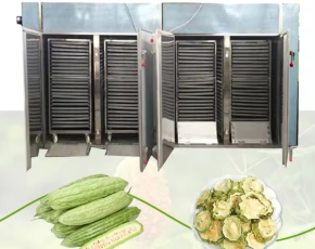  Quy trình sấy mướp đắng bằng tủ sấy nhiệt