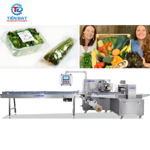 Máy đóng gói rau củ tươi tự động