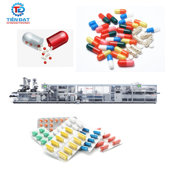 Dây chuyền ép vỉ DHL7005H hãng Hoping